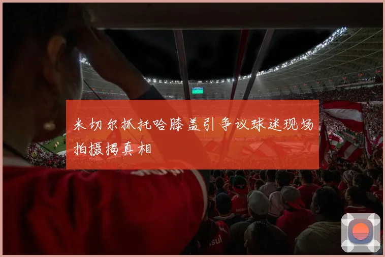 米切尔抓托哈膝盖引争议球迷现场拍摄揭真相