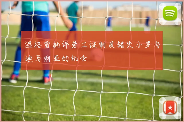 温格曾批评劳工证制度错失小罗与迪马利亚的机会